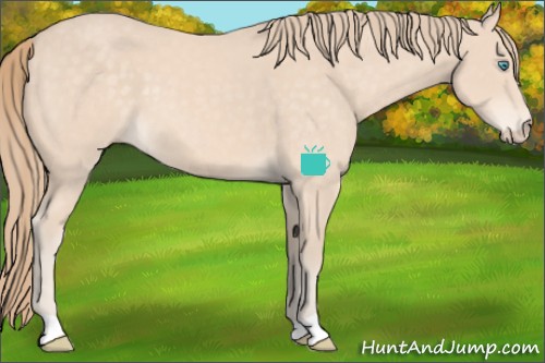 Horse Color:Perlino 