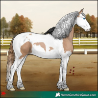Horse Color:Black Pearl Splash Tobiano 