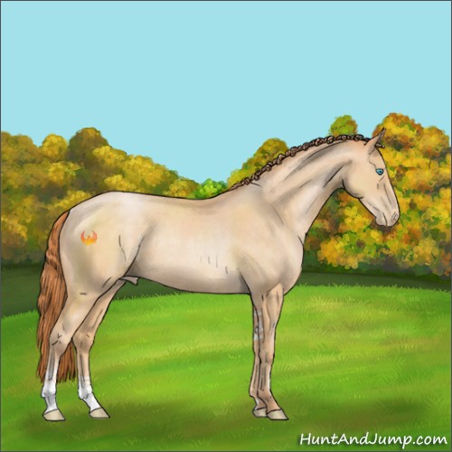 Horse Color:Buckskin Pearl Sabino Rabicano 