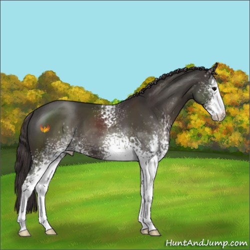 Horse Color:White Spotted Smoky Black Sabino 