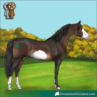 Horse Color:Brown Frame 