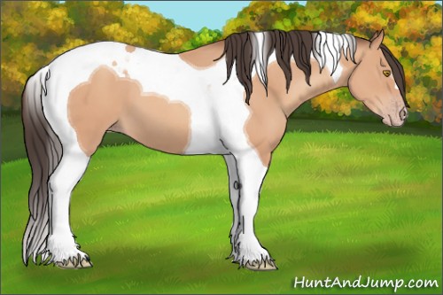 Horse Color:Amber Champagne Tobiano 
