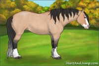 Horse Color:Bay Roan Dun Sabino Splash 
