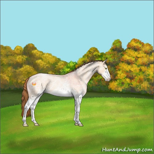 Horse Color:White Spotted Bay Ice Roan Pearl Dun 