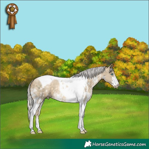 Horse Color:Silver Buckskin Pearl Sabino Tobiano 