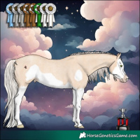 Horse Color:Silver Amber Champagne Roan Dun Splash Frame 