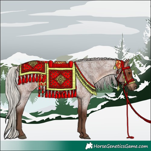 Horse Color:Silver Bay Roan 