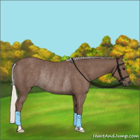 Horse Color:Silver Black Rabicano