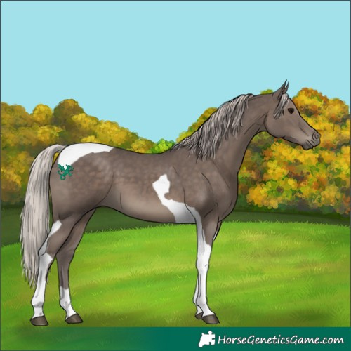 Horse Color:Silver Black Tobiano 