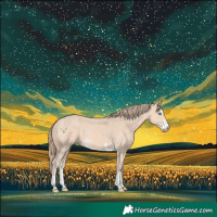 Horse Color:Perlino 
