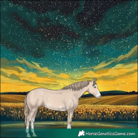 Horse Color:Perlino 