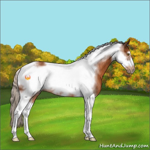 Horse Color:Silver Buckskin Tobiano Frame Rabicano 