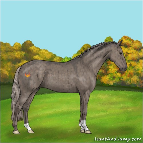 Horse Color:Silver Grullo Brindle 