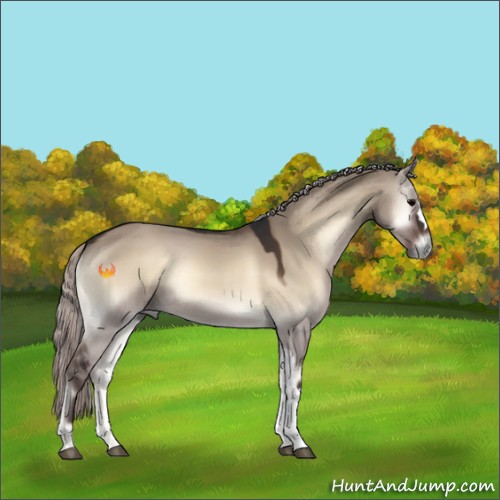 Horse Color:Silver Brown Onyx 