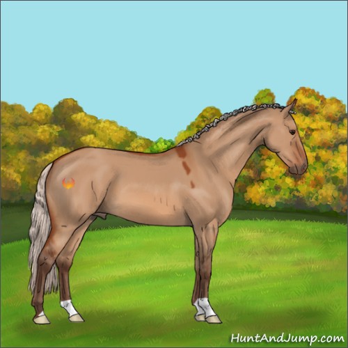Horse Color:Silver Bay Dun 