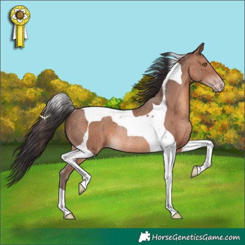 Horse Color:Sable Champagne Tobiano Rabicano 