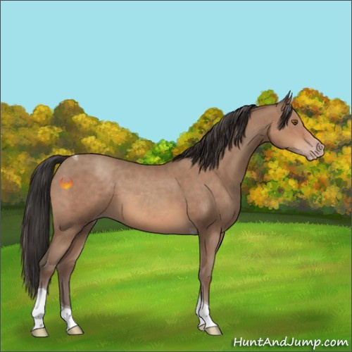 Horse Color:Sable Champagne Tobiano 