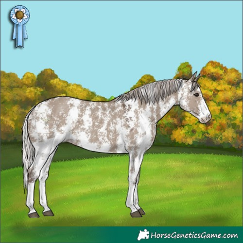 Horse Color:Silver Grullo Sabino 