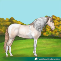 Horse Color:Sable Champagne Pearl Tobiano Appaloosa Rabicano 