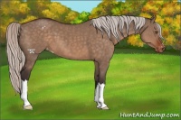 Horse Color:Silver Brown Dun Varnish 