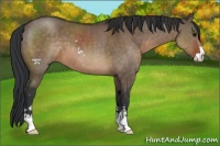 Horse Color:Brown Dun Sabino 