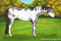 Horse Color:Smoky Blue Roan Mushroom Sabino Frame 