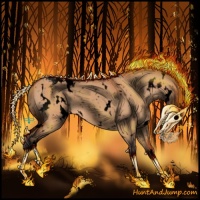 Horse Color:Void White Spotted Bay Dun Snowflake Varnish 