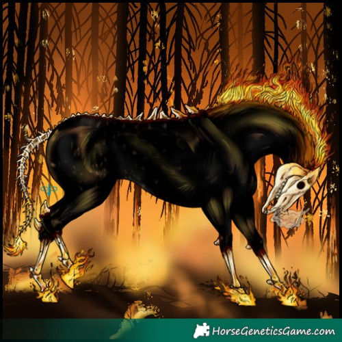 Horse Color:Void Buckskin Roan Dun Appaloosa 