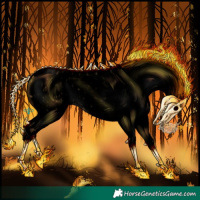 Horse Color:Void Buckskin Roan Dun Appaloosa 