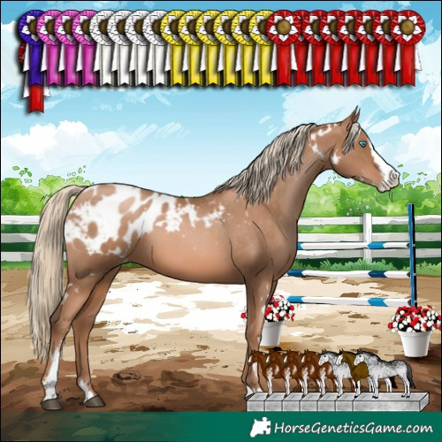 Horse Color:White Spotted Liver Chestnut Pearl Sabino Splash Blanket