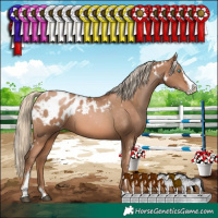 Horse Color:White Spotted Liver Chestnut Pearl Sabino Splash Blanket 