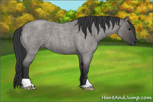 Horse Color:Grullo Roan 