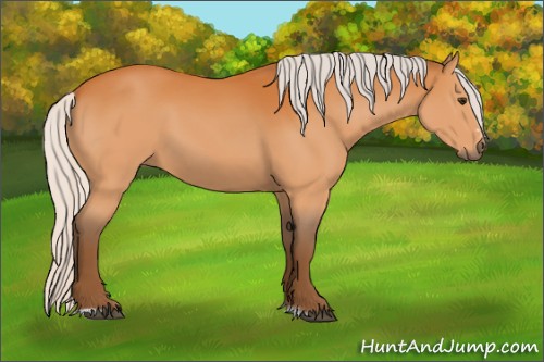 Horse Color:Silver Buckskin Sabino 