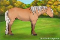 Horse Color:Silver Buckskin Sabino