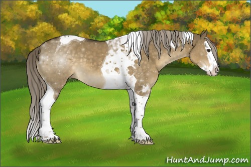 Horse Color:Chocolate Palomino Dun Splash Tobiano 