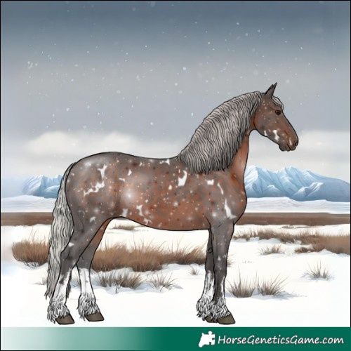 Horse Color:White Spotted Silver Brown