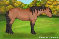 Horse Color:Brown 