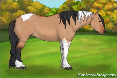 Horse Color:Brown Dun Tobiano 