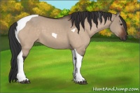 Horse Color:Brown Dun Tobiano