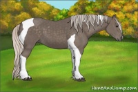 Horse Color:Silver Black Tobiano 