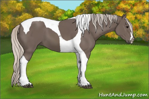 Horse Color:Silver Black Tobiano 