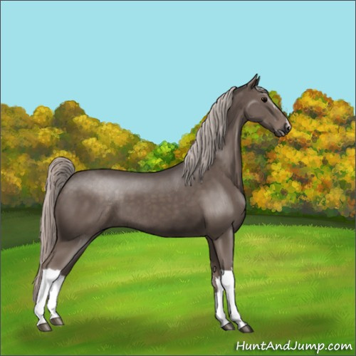 Horse Color:Silver Black 