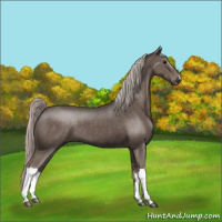 Horse Color:Silver Black 