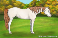 Horse Color:Sable Champagne Pearl Dun Sabino 