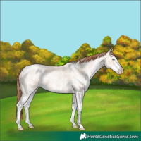 Horse Color:Sable Champagne Ice Pearl Sabino