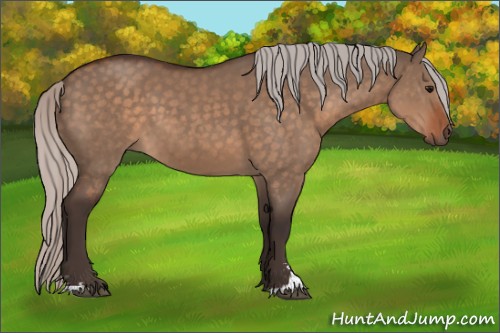 Horse Color:Silver Brown Dun Sabino 