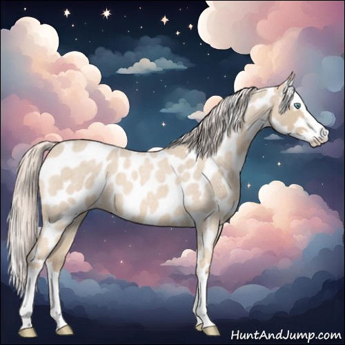 Horse Color:Cremello Roan Splash Appaloosa 