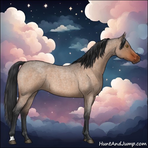 Horse Color:Brown Roan Dun 