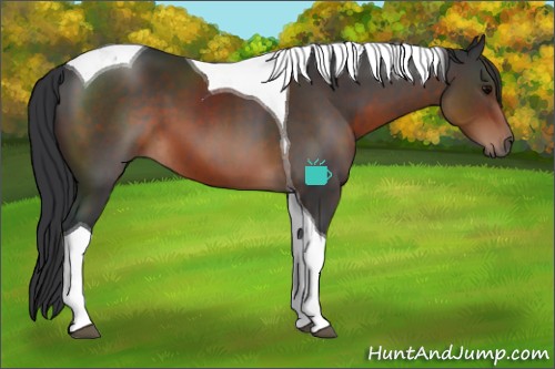 Horse Color:Brown Tobiano 
