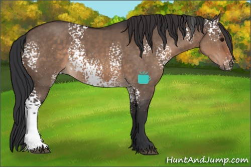 Horse Color:White Spotted Brown Dun